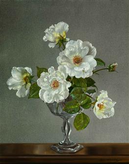 Cecil Kennedy | White Roses