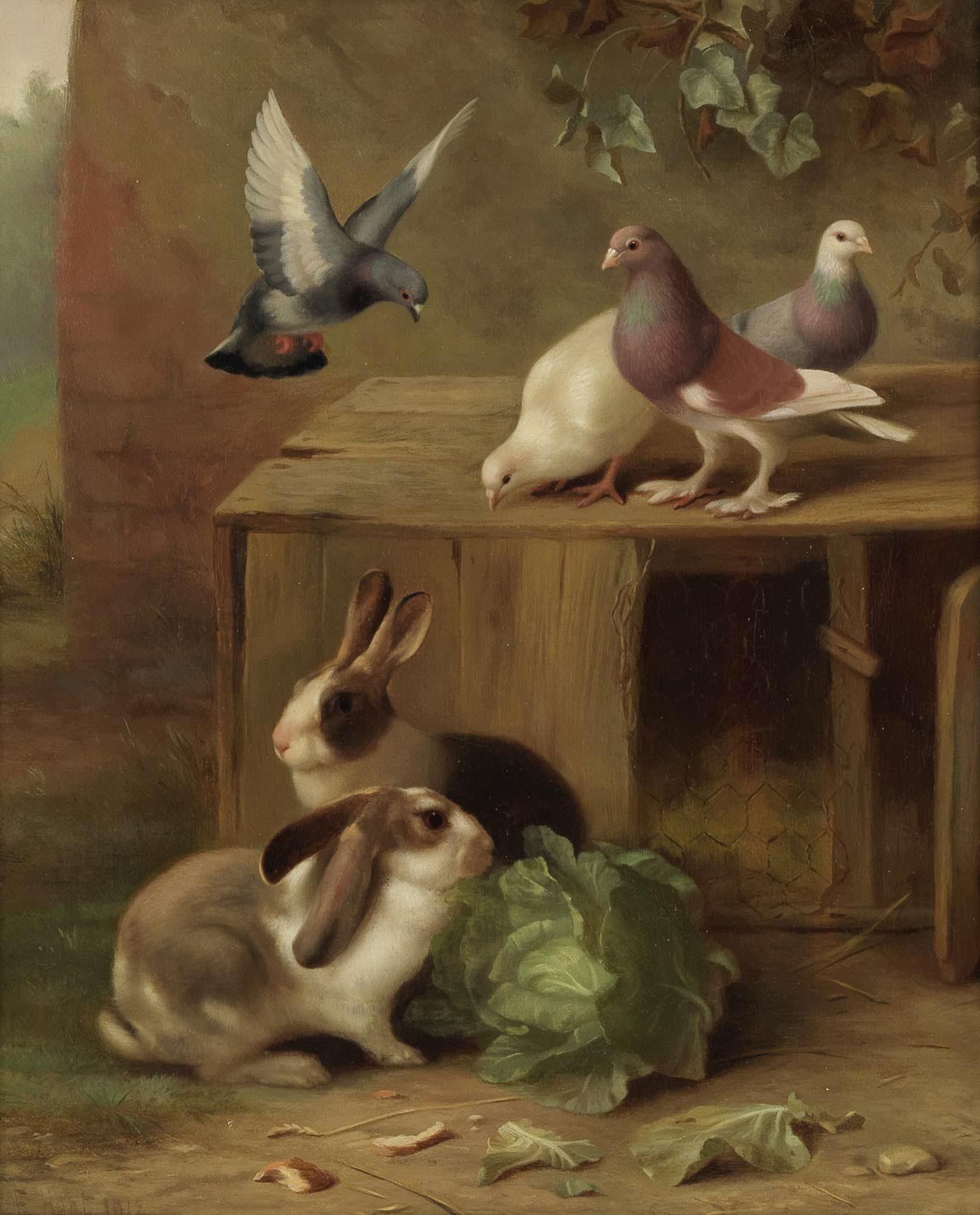 Pigeon, Doves & Rabbits by Edgar Hunt | Mark Rowles Fine Art.