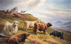 Highland Cattle, Charles Jones