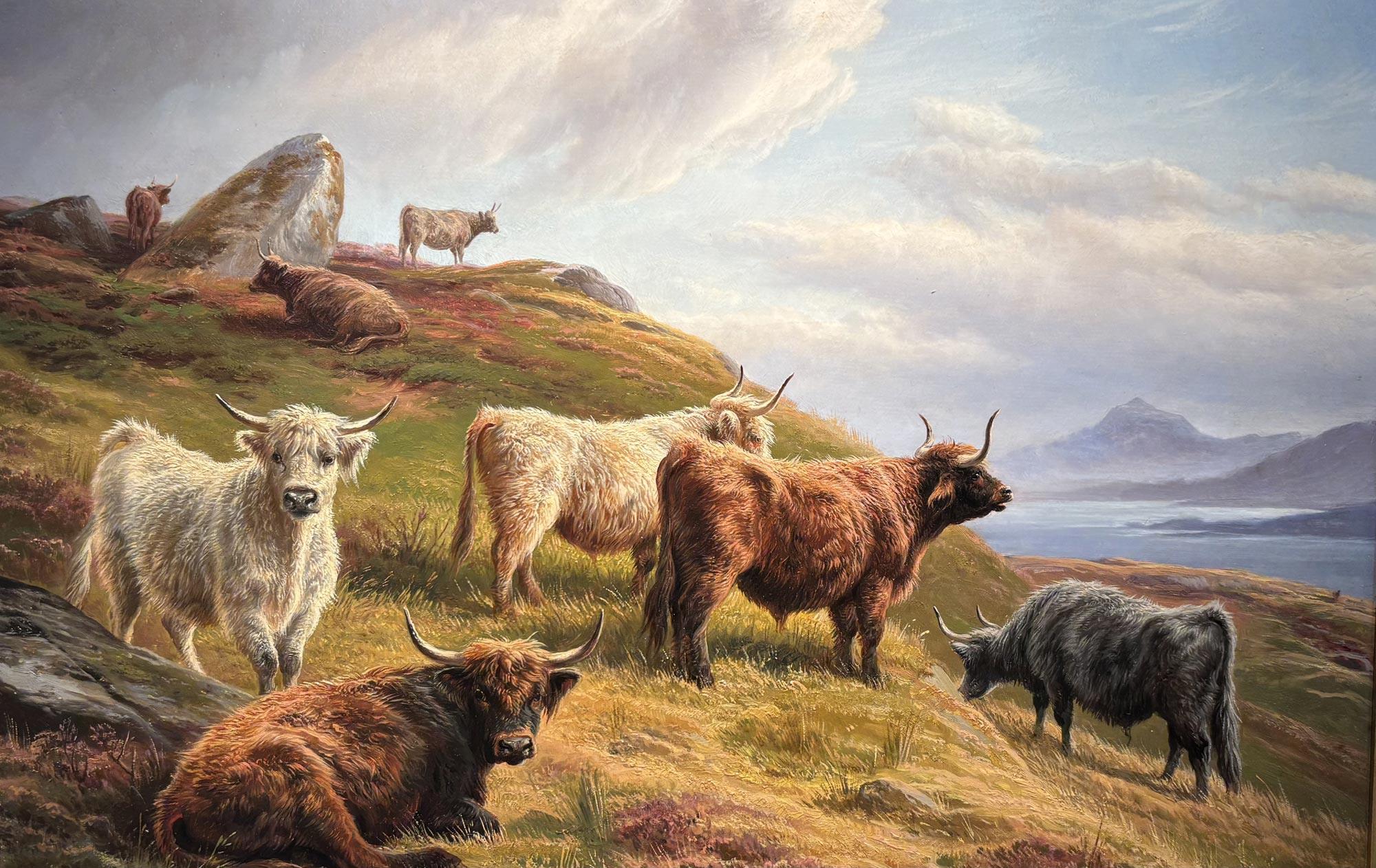 Charles Jones | Highland Cattle